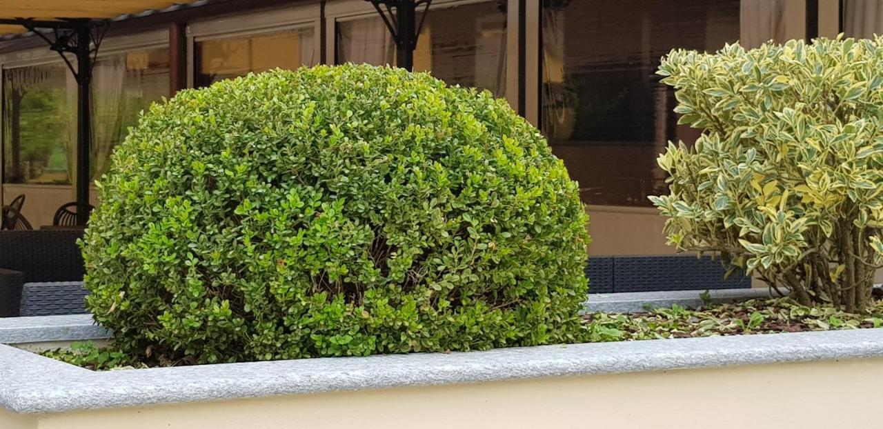 La Regibussa - Hotel Ristorante Asti Zewnętrze zdjęcie